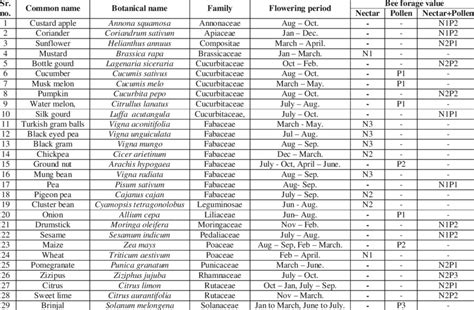 Nectar Flow: What It Means (Beekeeping Calendar).